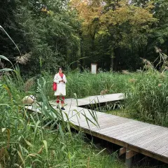 Kobieta na drewnianej kładce wśród trzcin w Wojanowie. Jesienne liście drzew tworzą tło.