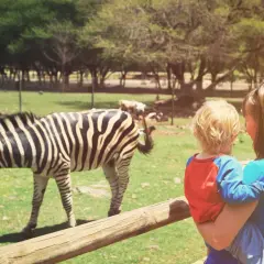Mama z dzieckiem oglądają zebrę w zoo. W tle inne zwierzęta i drzewa.