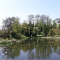 Malowniczy staw w Bolestraszycach, otoczony drzewami i zielenią. Widoczny fragment pałacu i drewniany pomost, idealne miejsce na relaks i podziwianie atrakcji.
