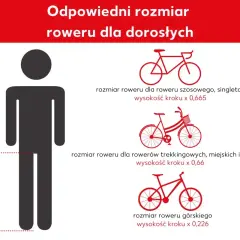 Jak dobrac rower? Grafika pokazuje, jak zmierzyć wysokość kroku, by dobrać odpowiedni rozmiar roweru szosowego, trekkingowego, miejskiego, elektrycznego lub górskiego.