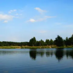 Spokojny akwen wodny z odbijającymi się drzewami i błękitnym niebem. Prawdziwy poraj dla miłośników natury.