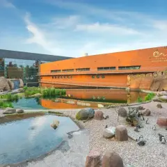 Wrocławskie oceanarium, gdzie można sprawdzić oceanarium wrocław cennik, z pingwinami i stawem.
