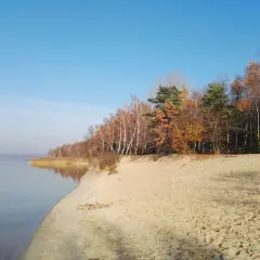 Jesienny brzeg jeziora z piaszczystą plażą i lasem. Drzewa w barwach złota i brązu, jakby ubrane w jesienną włosienicę.