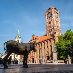 Pomnik osiołka na Rynku Staromiejskim w Toruniu. W tle Ratusz Staromiejski i kościół.