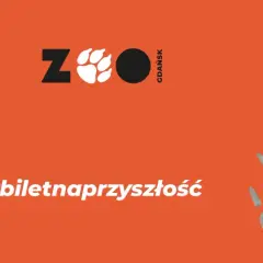 Gdański ogród zoologiczny zaprasza! Kup #biletnaprzyszłość i zobacz lwa.