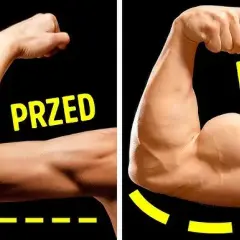 Chcesz większe bicepsy? Poznaj sekrety efektywnego treningu!