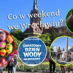 Co się dzieje we Wrocławiu? Kolorowe pisanki, niedźwiedź, targ i obchody Światowego Dnia Wody.