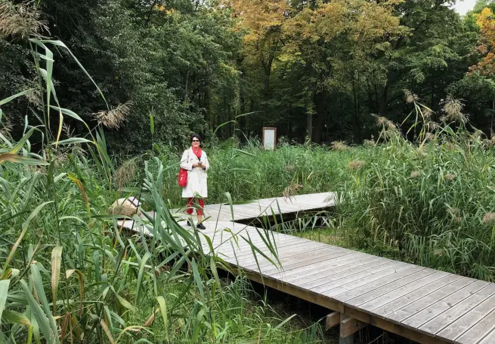 Kobieta na drewnianej kładce wśród trzcin w Wojanowie. Jesienne liście drzew tworzą tło.
