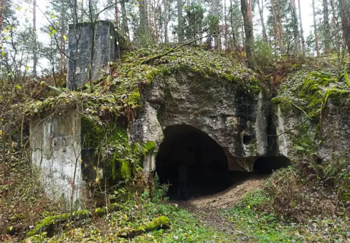 Ruiny bunkra w lesie, wejście do podziemi Osowiec. Zarośnięte mchem i liśćmi, tajemnicze miejsce.