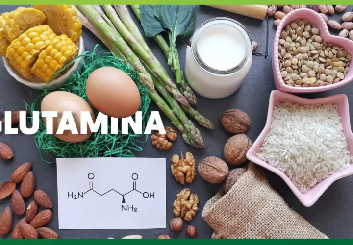 Glutamina co to? Obraz pokazuje produkty bogate w glutaminę: jajka, szparagi, mleko, orzechy, migdały, kukurydzę, soczewicę i ryż.