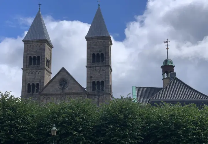 Kamienne wieże katedry w Viborg górują nad zielonymi drzewami.