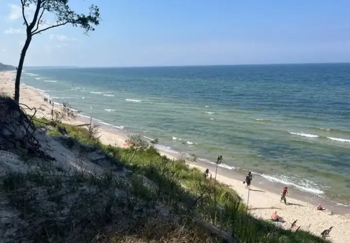 Piękny widok na plażę i morze. Ludzie spacerują brzegiem, a w oddali widać drzewa. Miejsce idealne na orzechowo-słodkie lenistwo.