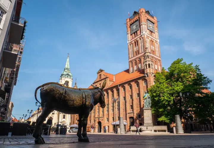 Pomnik osiołka na Rynku Staromiejskim w Toruniu. W tle Ratusz Staromiejski i kościół.