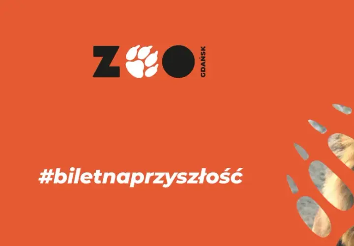 Gdański ogród zoologiczny zaprasza! Kup #biletnaprzyszłość i zobacz lwa.