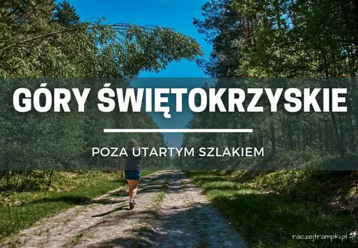 Kobieta idzie leśną drogą w Górach Świętokrzyskich, odkrywając mniej znane szlaki.