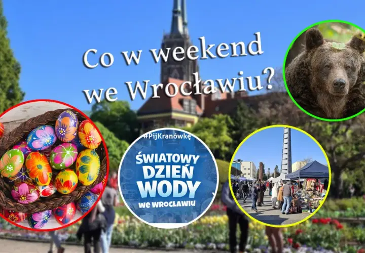 Co się dzieje we Wrocławiu? Kolorowe pisanki, niedźwiedź, targ i obchody Światowego Dnia Wody.