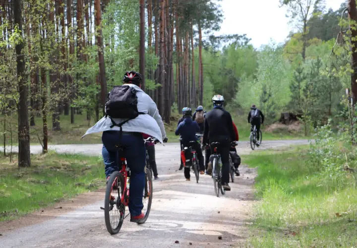 Grupa rowerzystów przemierza leśną ścieżkę. Każdy pedałujący spala kalorie, ciesząc się aktywnością na świeżym powietrzu.