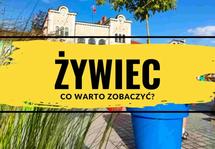 Żywiec rynek: słoneczny dzień, zabytkowe kamienice i zielone trawy. Co warto zobaczyć w tym urokliwym mieście?