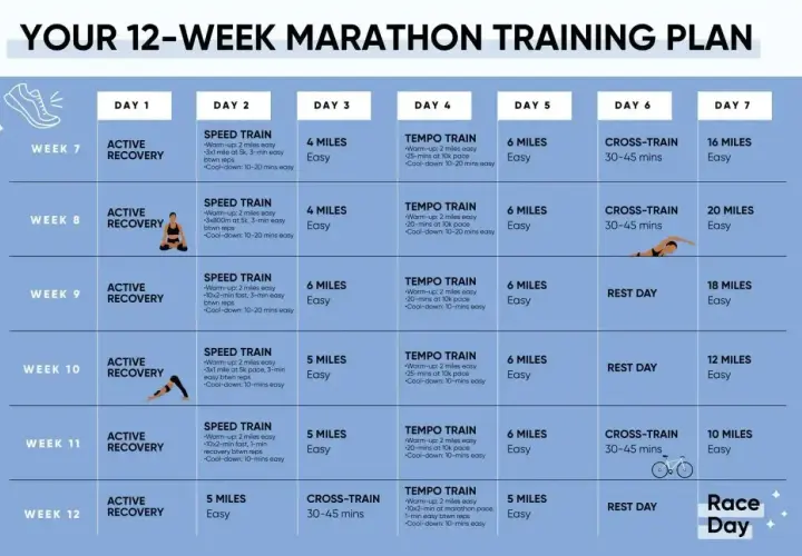 Plan 12-tygodniowego treningu do maratonu: zawiera dni regeneracji, treningi szybkościowe, tempowe, cross-training i długie biegi.