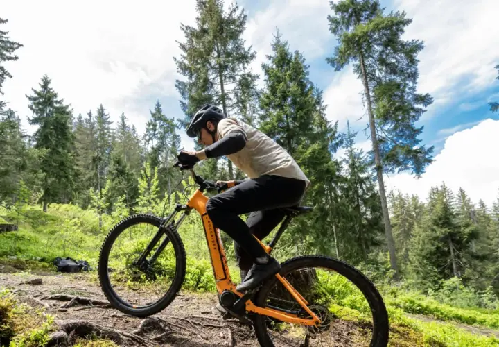 Rowerzysta na pomarańczowym rowerze górskim pokonuje leśną ścieżkę, odkrywając malownicze **trasy rowerowe Zakopane**.