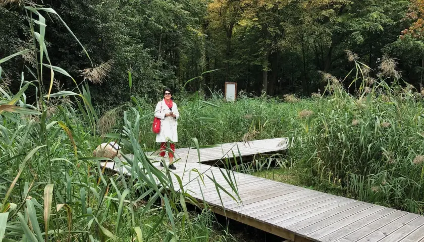 Kobieta na drewnianej kładce wśród trzcin w Wojanowie. Jesienne liście drzew tworzą tło.