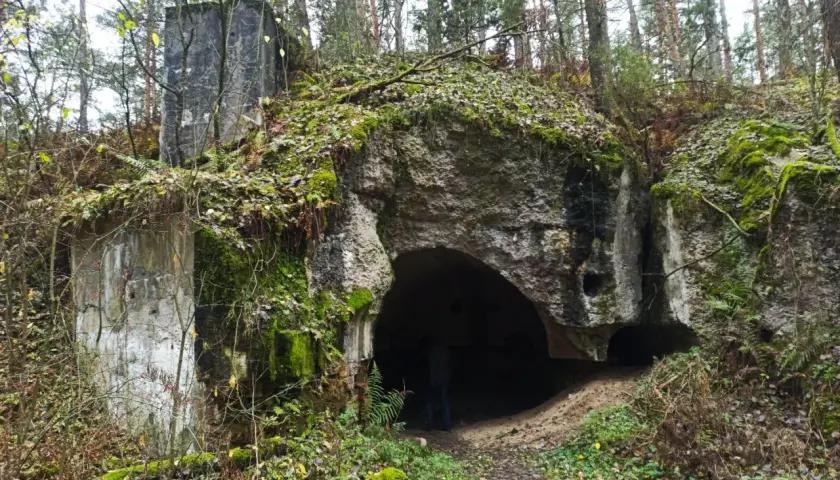 Ruiny bunkra w lesie, wejście do podziemi Osowiec. Zarośnięte mchem i liśćmi, tajemnicze miejsce.