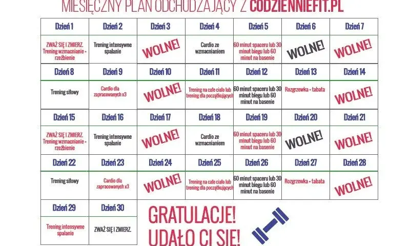 Ile treningów w tygodniu? Plan dopasowany do celu i poziomu!