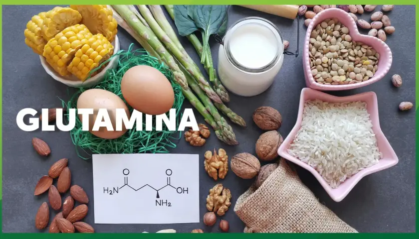 Glutamina co to? Obraz pokazuje produkty bogate w glutaminę: jajka, szparagi, mleko, orzechy, migdały, kukurydzę, soczewicę i ryż.