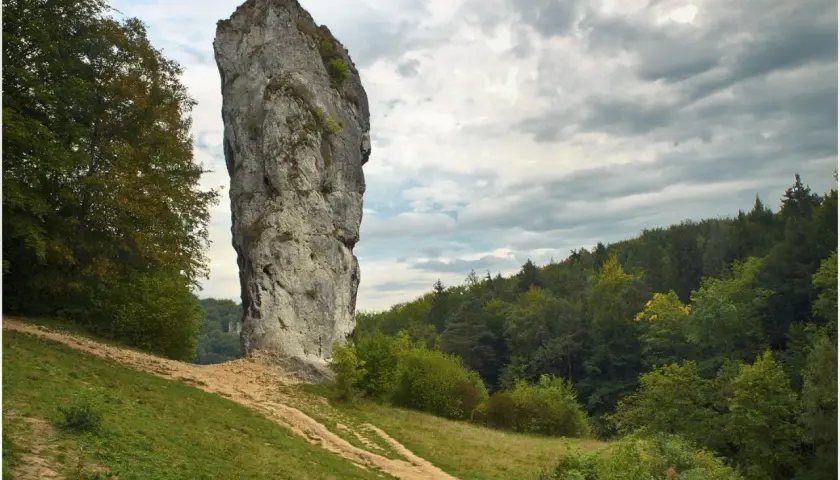 Ojcowski Park Narodowy: majestatyczna Maczuga Herkulesa góruje nad zielonymi wzgórzami i lasem.