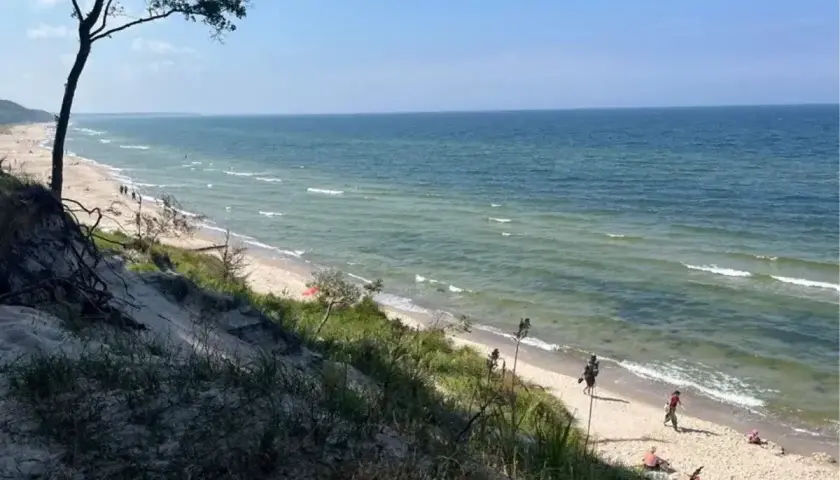 Piękny widok na plażę i morze. Ludzie spacerują brzegiem, a w oddali widać drzewa. Miejsce idealne na orzechowo-słodkie lenistwo.