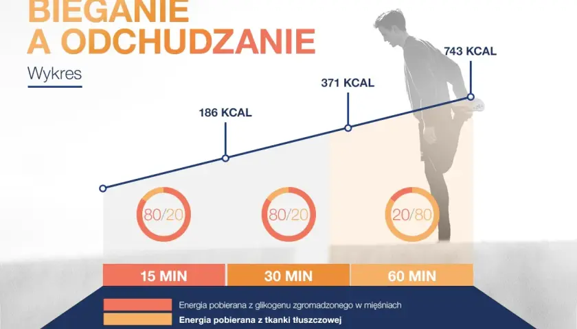 Wykres pokazuje, czy bieganie odchudza. Im dłużej biegniesz, tym więcej kalorii spalasz, głównie z tkanki tłuszczowej.