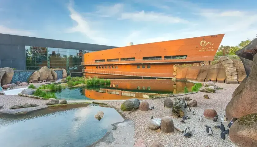 Wrocławskie oceanarium, gdzie można sprawdzić oceanarium wrocław cennik, z pingwinami i stawem.