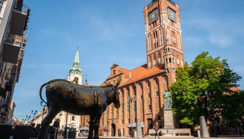 Pomnik osiołka na Rynku Staromiejskim w Toruniu. W tle Ratusz Staromiejski i kościół.