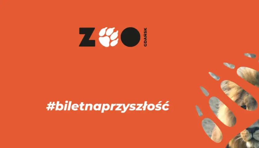 Gdański ogród zoologiczny zaprasza! Kup #biletnaprzyszłość i zobacz lwa.