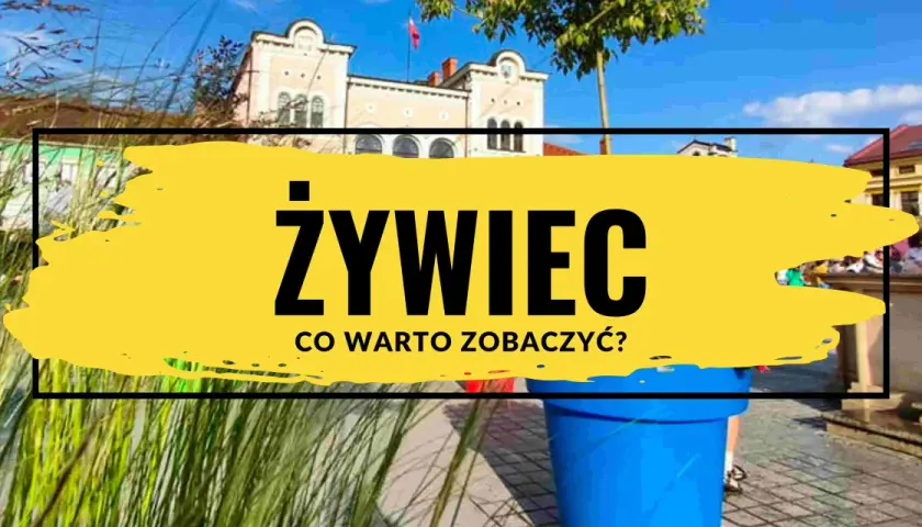 Żywiec rynek: słoneczny dzień, zabytkowe kamienice i zielone trawy. Co warto zobaczyć w tym urokliwym mieście?