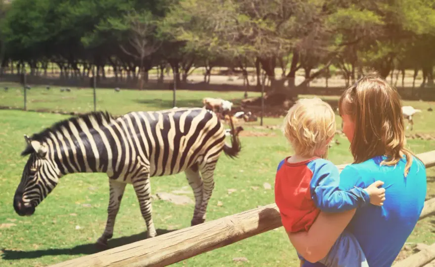 Świerkocin Zoo - Czy warto jechać? Prawda i alternatywy