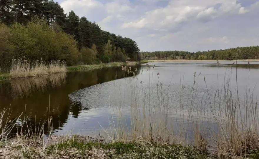 Kokotek - Lubliniec: Stawy, lasy i aktywny wypoczynek. Co warto?