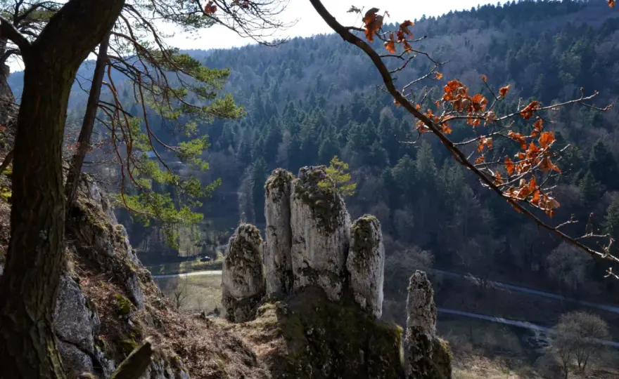 Ojcowska dolina - jak zaplanować spacer i co zobaczyć po drodze