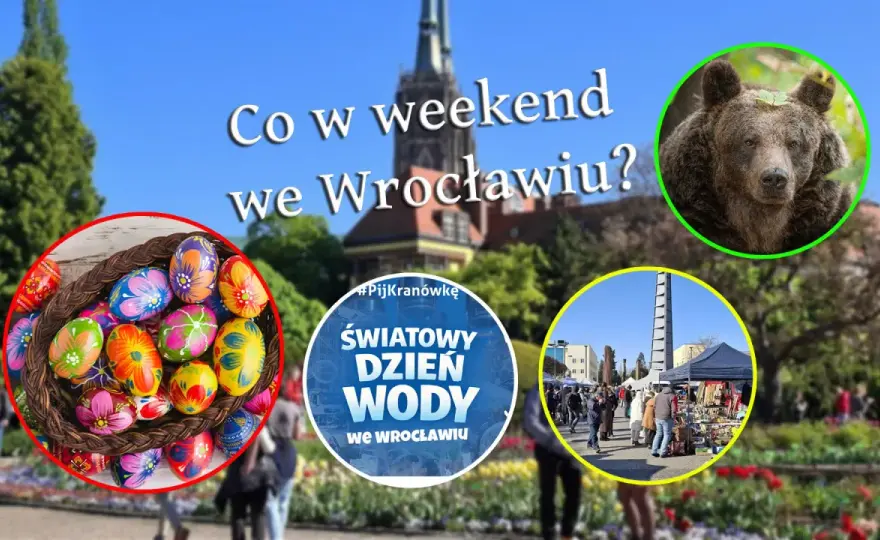 Wydarzenia Wrocław - Jak zaplanować udany dzień?