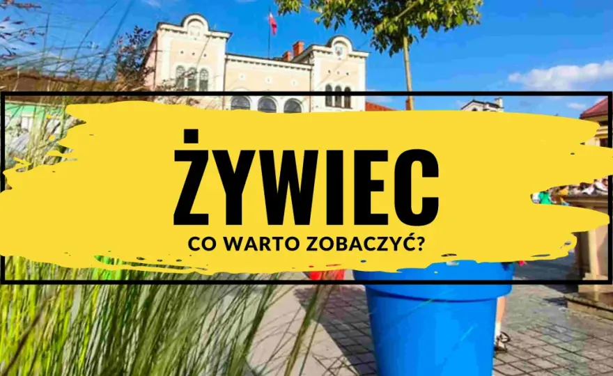 Rynek w Żywcu - Serce miasta, które warto poznać!