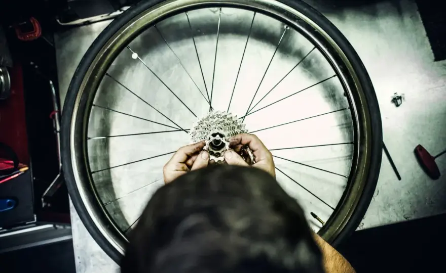 Wolnobieg rowerowy - Jak go odróżnić od kasety i kiedy wymienić?