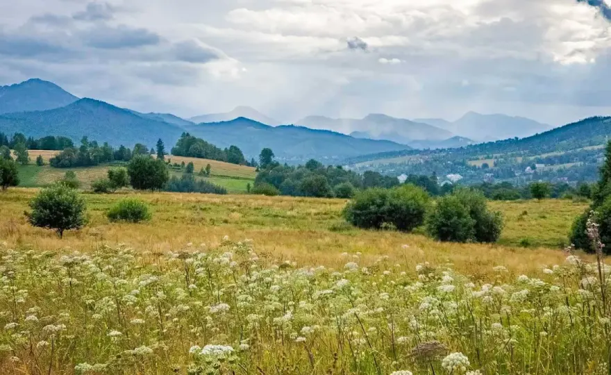 Antałówka w Zakopanem - krótki spacer z panoramą Tatr