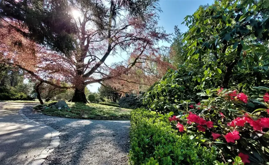 Arboretum Wojsławice - Kiedy jechać, by zobaczyć najwięcej?