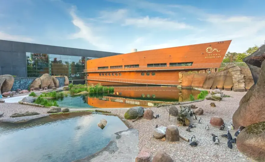 ZOO Wrocław - Bilety i cennik. Jak nie przepłacić?