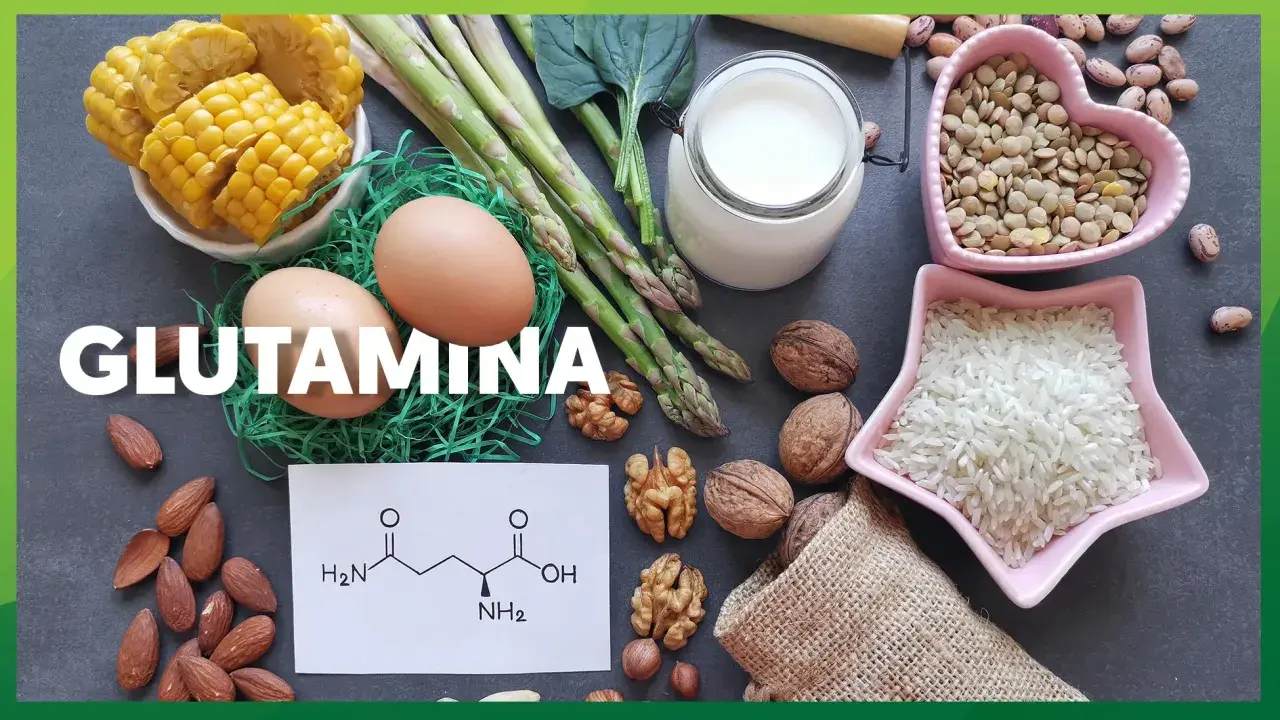 Glutamina co to? Obraz pokazuje produkty bogate w glutaminę: jajka, szparagi, mleko, orzechy, migdały, kukurydzę, soczewicę i ryż.
