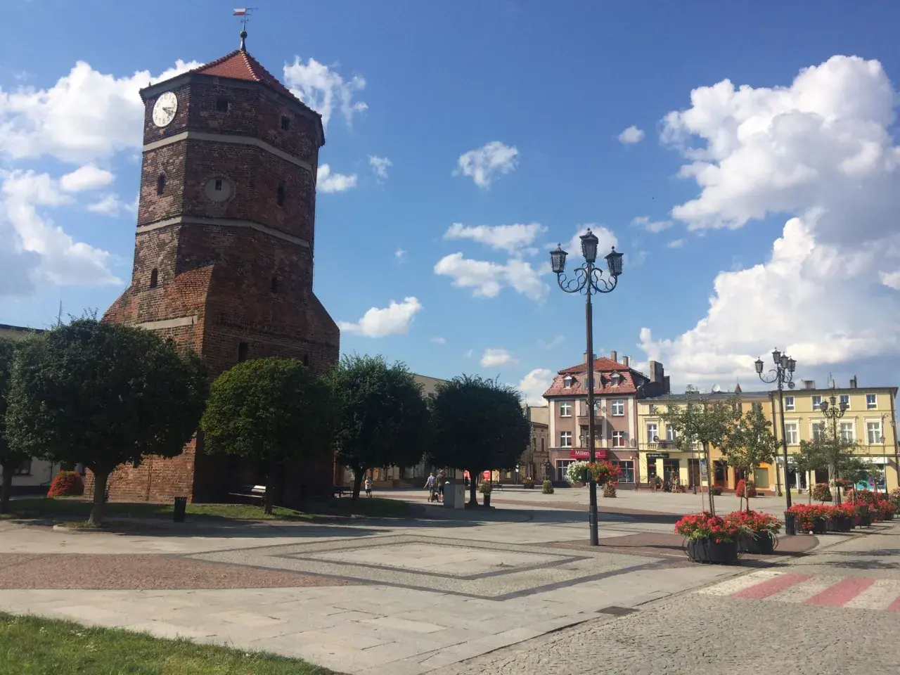 Wieża zegarowa w Barcinie góruje nad rynkiem, gdzie kwitną czerwone kwiaty.
