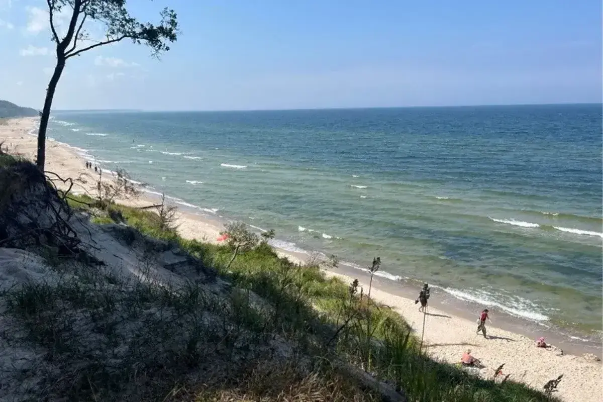 Piękny widok na plażę i morze. Ludzie spacerują brzegiem, a w oddali widać drzewa. Miejsce idealne na orzechowo-słodkie lenistwo.