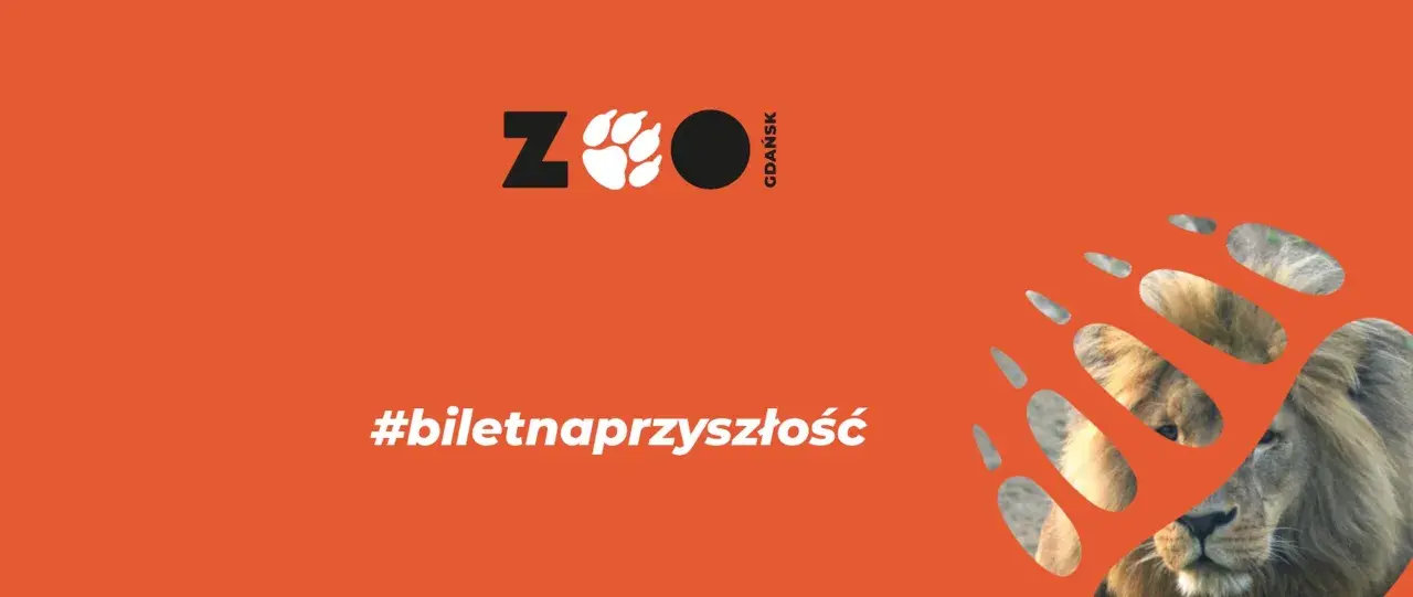 Gdański ogród zoologiczny zaprasza! Kup #biletnaprzyszłość i zobacz lwa.