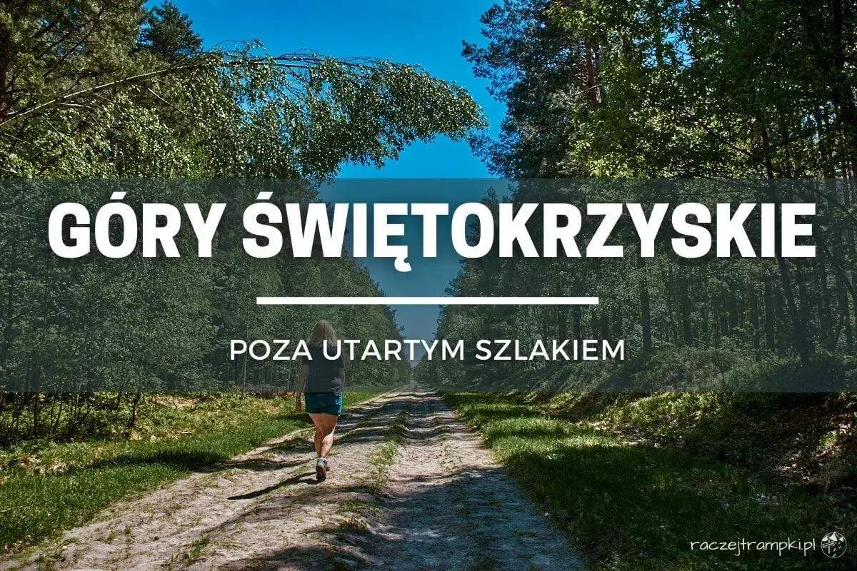 Kobieta idzie leśną drogą w Górach Świętokrzyskich, odkrywając mniej znane szlaki.