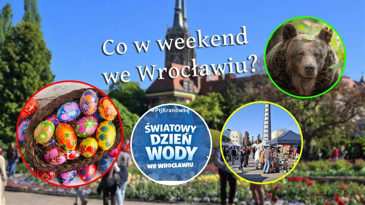 Co się dzieje we Wrocławiu? Kolorowe pisanki, niedźwiedź, targ i obchody Światowego Dnia Wody.